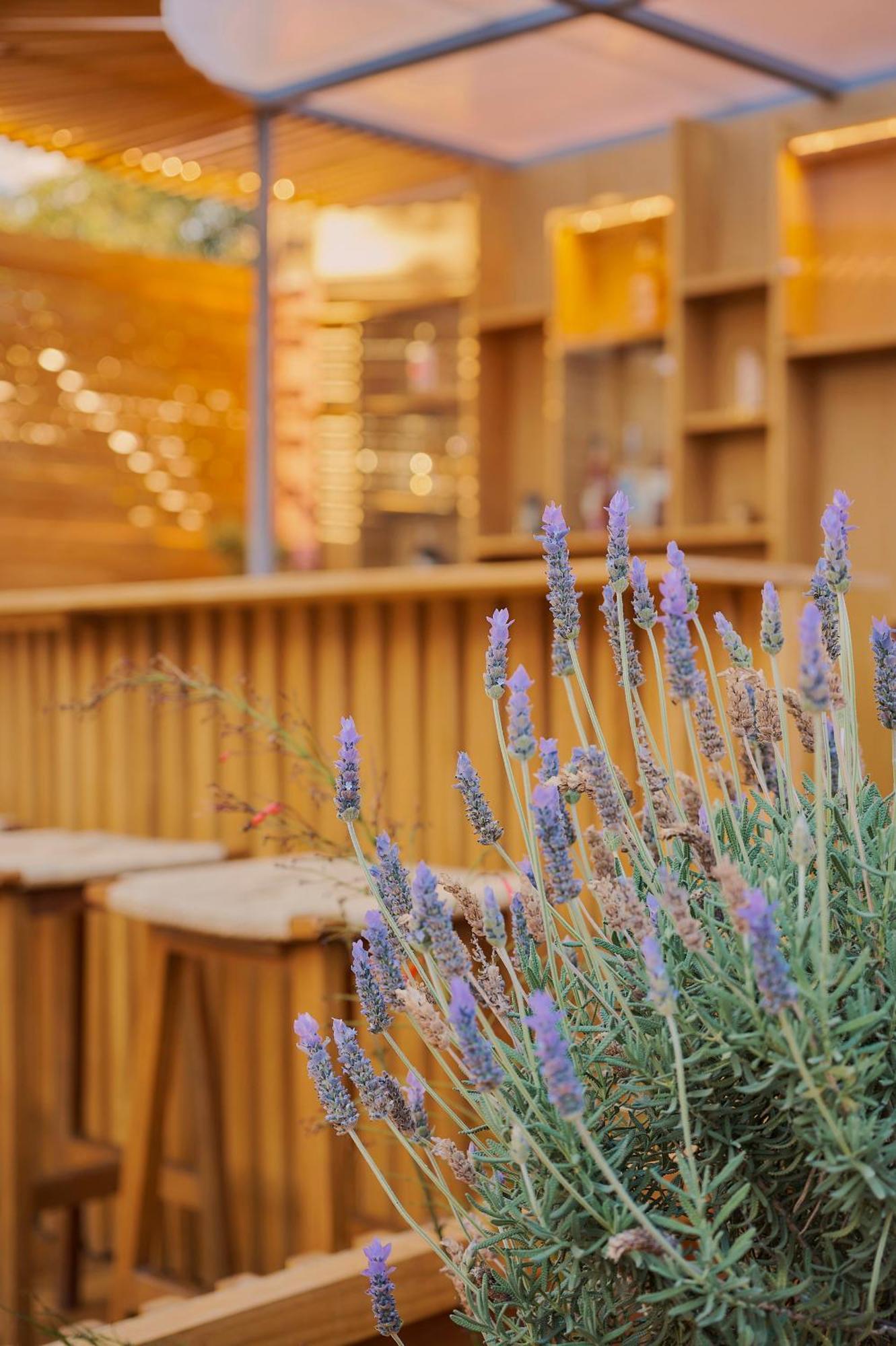 Hotel Materia Oaxaca Екстериор снимка